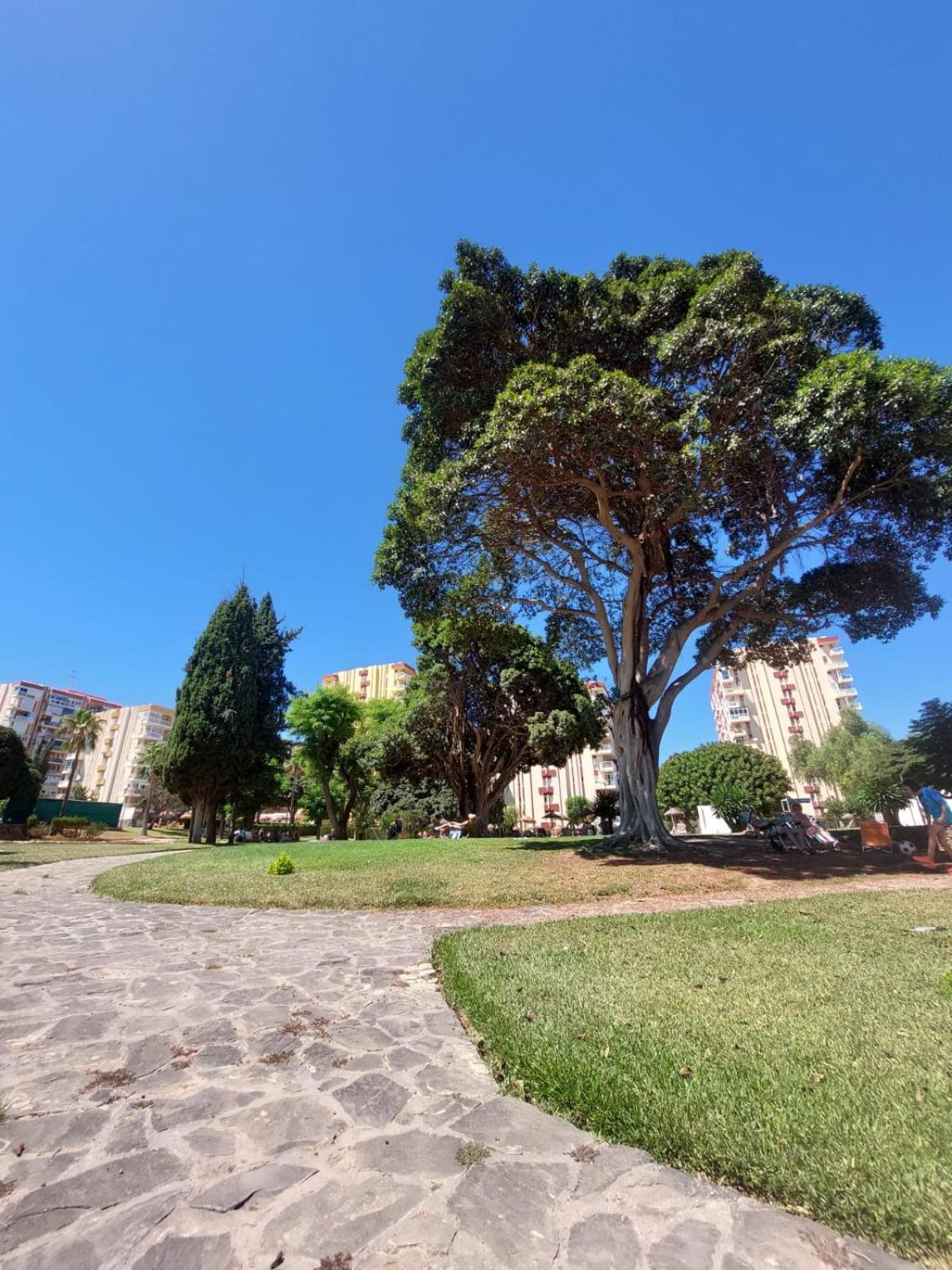 Studio Vista Costa Del Sol بينالماذينا المظهر الخارجي الصورة